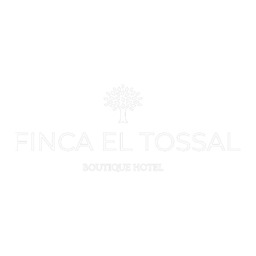 Boutiquehotelfincaeltossal logo