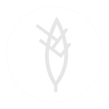 Ocaminofala logo