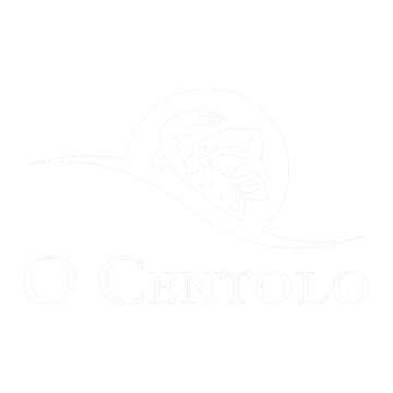 Ocentolo logo